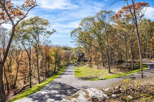 a view of a park with large trees