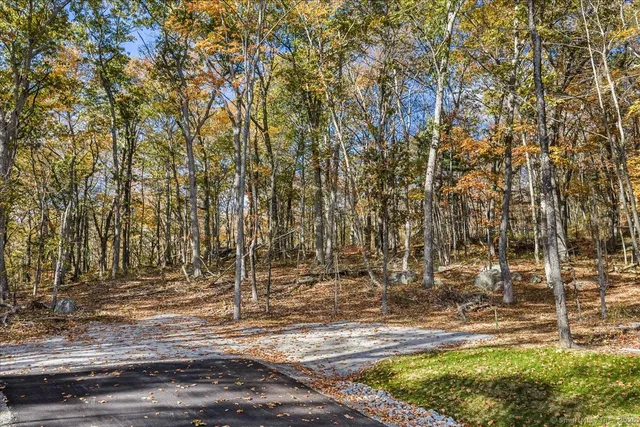 a view of yard with tree