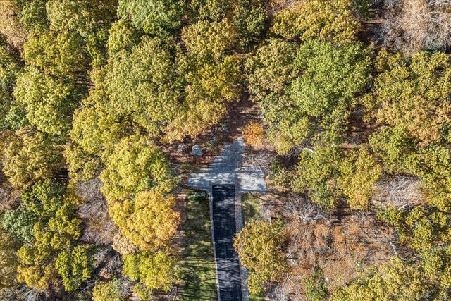 a view of a yard with large trees