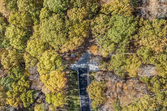 a view of a yard with large trees