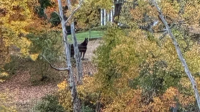 $2,000,000 | Undisclosed Address, Lyme, CT 06371