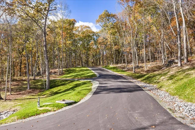 a view of a yard with large trees