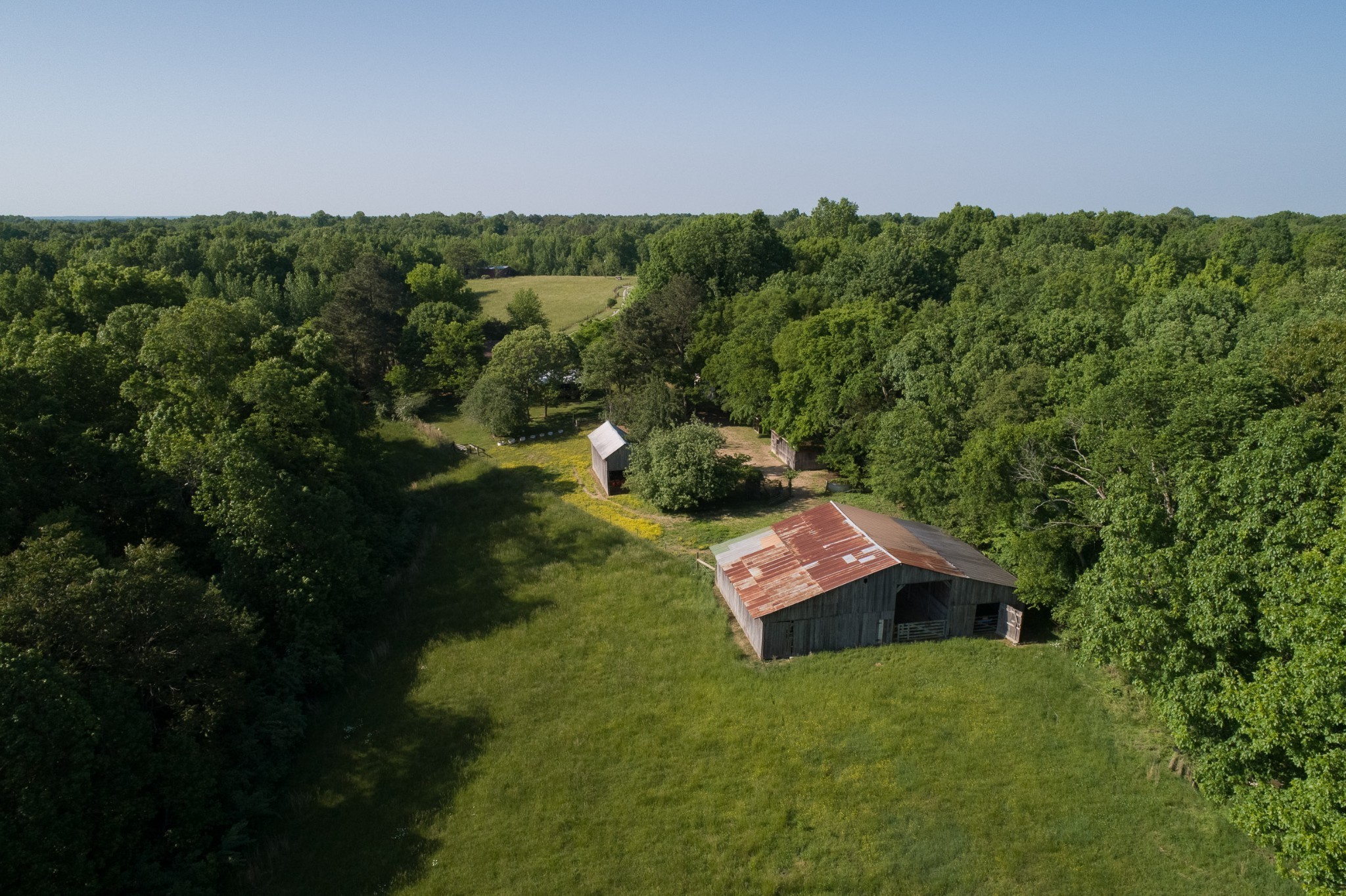 804 Chestnut Grove Road Pulaski, TN 38478 - Photo 19 of 61 a view of a house with a yard