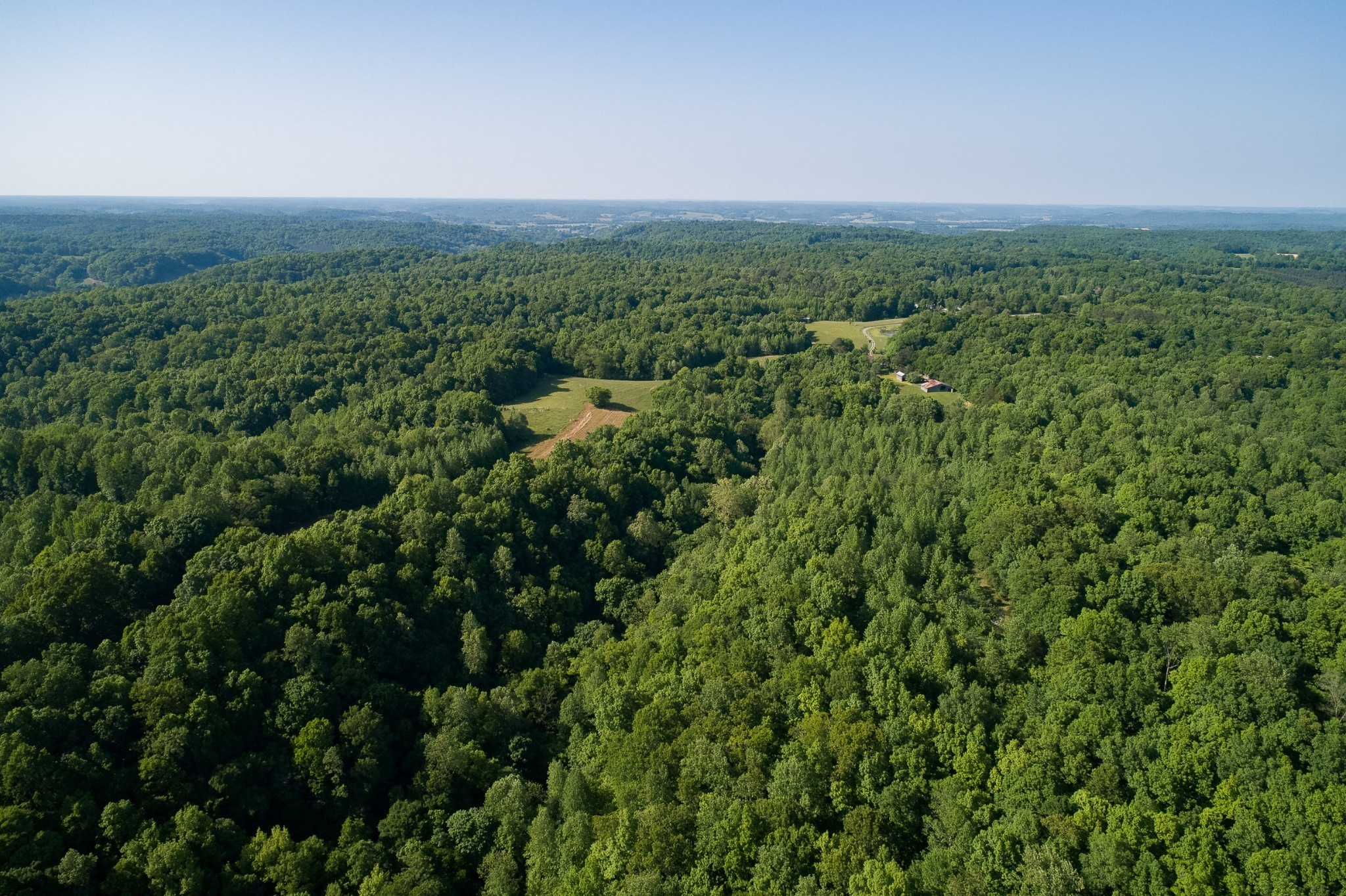 804 Chestnut Grove Road Pulaski, TN 38478 - Photo 8 of 61 a view of a city with lush green forest