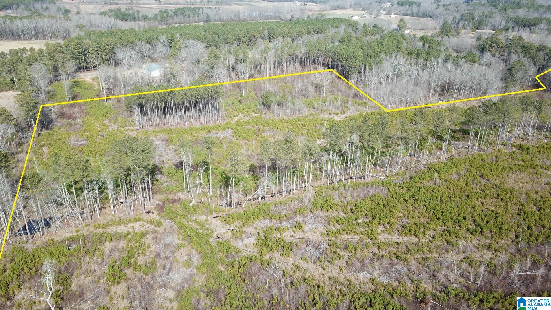 0 Altoona Cutoff Road, Unit 47 5 Oneonta, AL 35121 - Photo 11 of 36