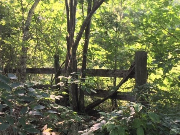 0 Mayo Road Hubbardston, MA 01452 - Photo 5 of 6 Gallery Image 5