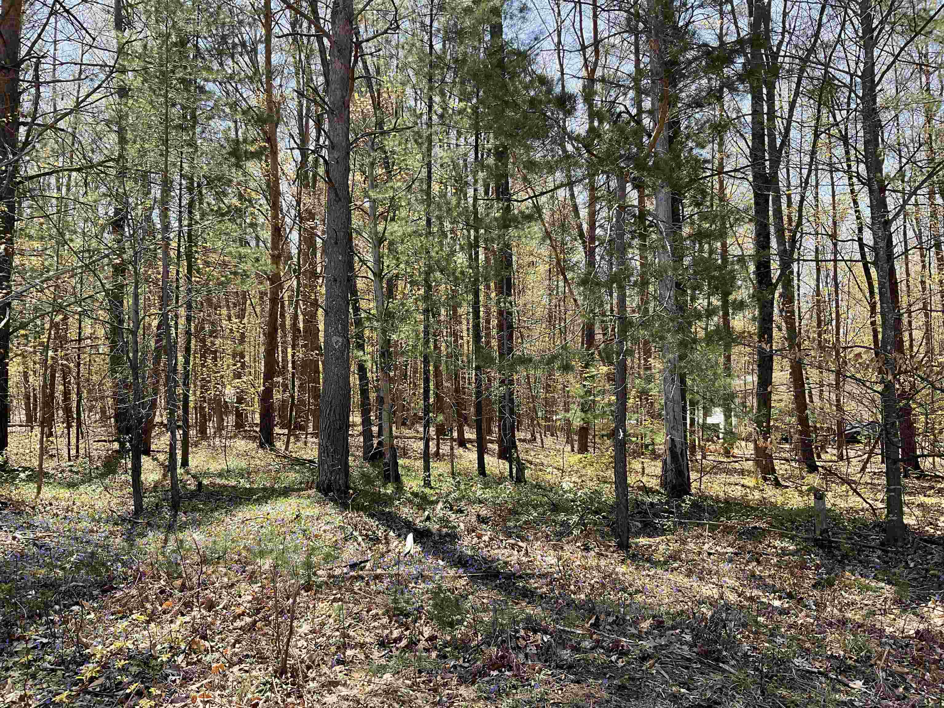 Lot 3-4 Diamond Park Road Interlochen, MI 49643 - Photo 6 of 11
