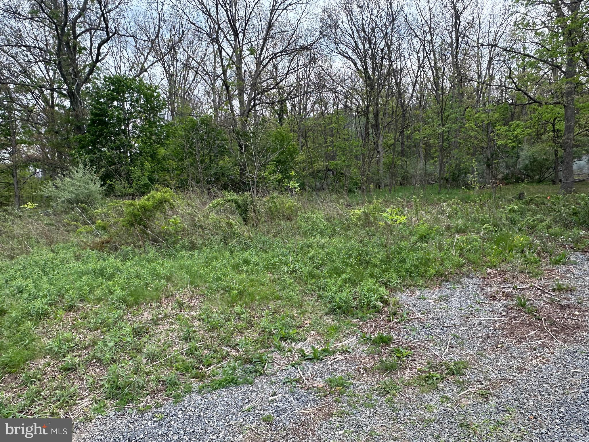 0 Cut Off Road Keyser, WV 26726 - Photo 5 of 11 Gallery Image 5