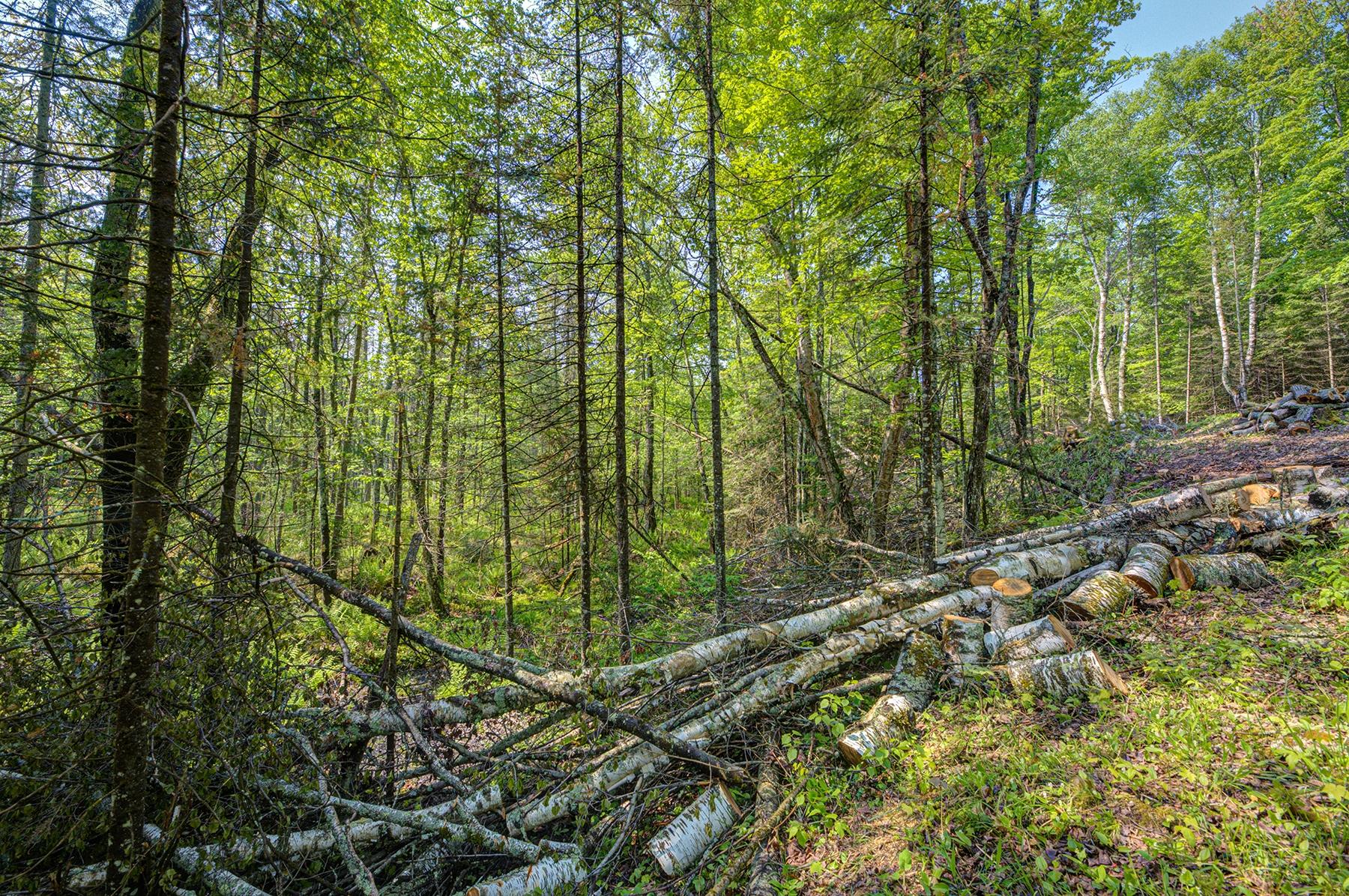 Lot 24 Gemstone Road Presque Isle, WI 54557 - Photo 4 of 23 Gallery Image 4