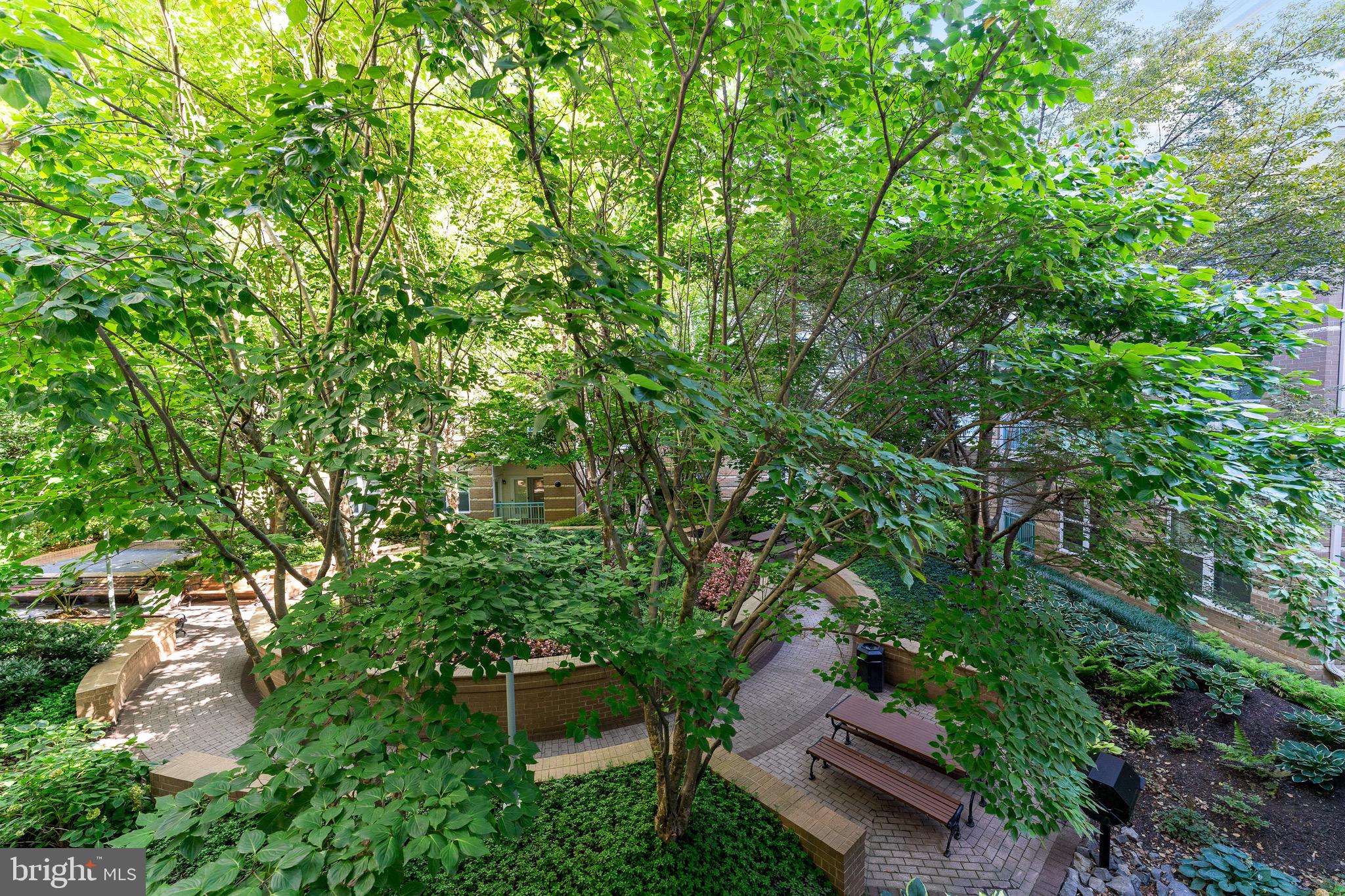 12000 Market Street, Unit 244 Reston, VA 20190 - Photo 22 of 54 Beautiful view from balcony