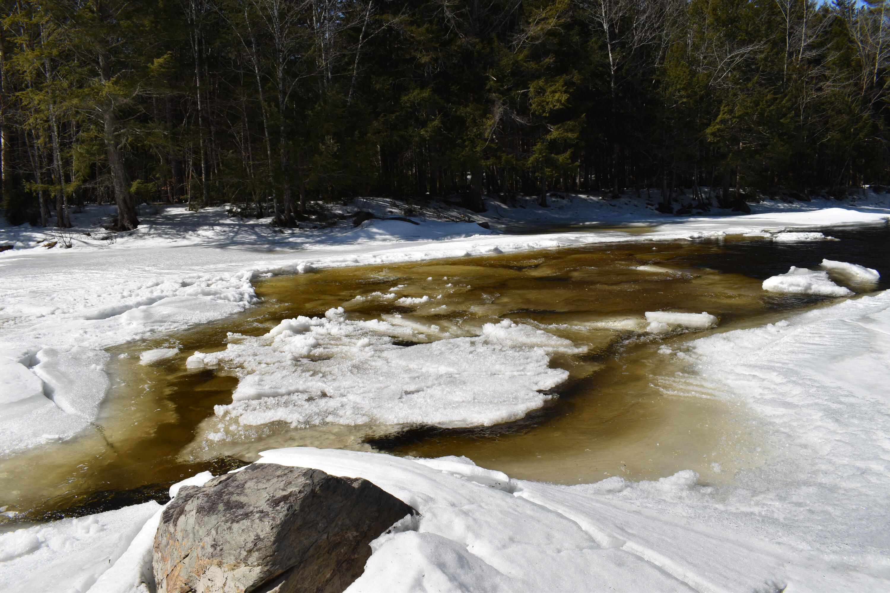 293 Silver Ridge Road Kingman, ME 04451 - Photo 34 of 43 DSC_0140