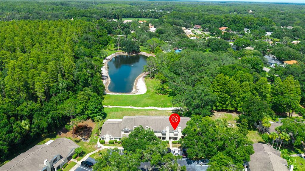 5100 Burchette Road, Unit 404 Tampa, FL 33647 - Photo 22 of 41