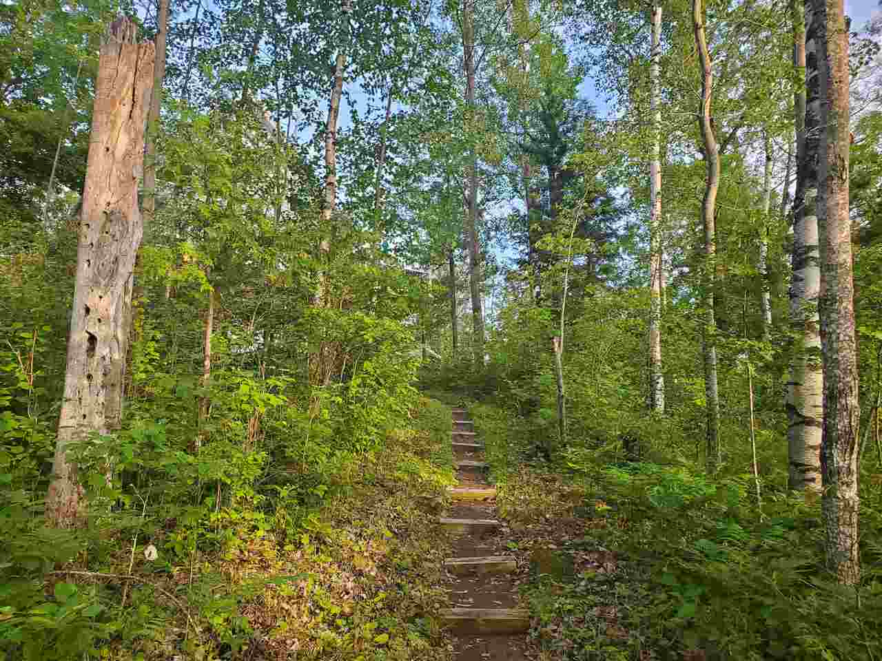 7540 O'Connor Road Hale, MI 48739 - Photo 48 of 59 1890632-48.JPG