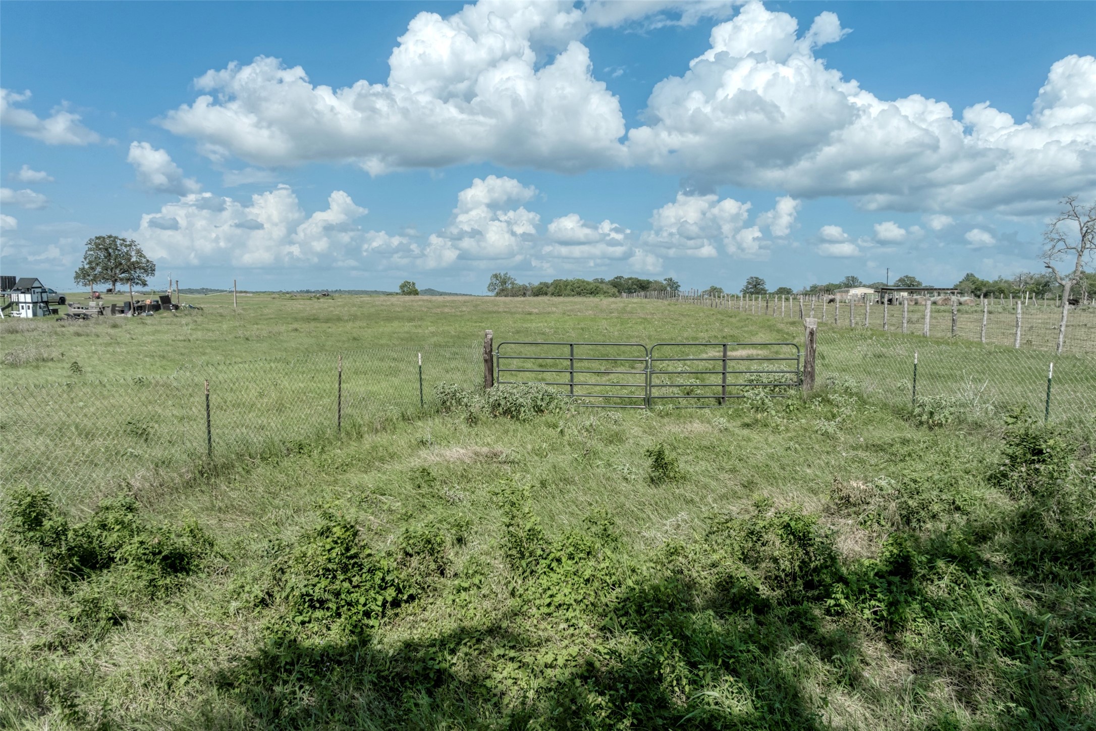 5309 Tenney Creek Road Luling, TX 78648 - Photo 4 of 23 A vast, fenced acreage with open sky and abundant natural growth invites endless possibilities.
