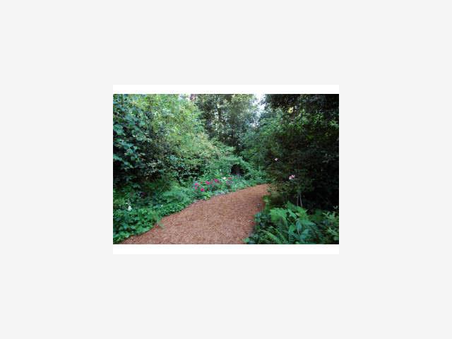 450 Bear Valley Road Aptos, CA 95003 - Photo 8 of 9 a black and white photo of a bench in a forest