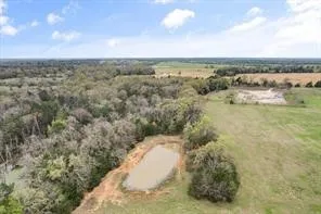 a view of a dry yard with lots of trees