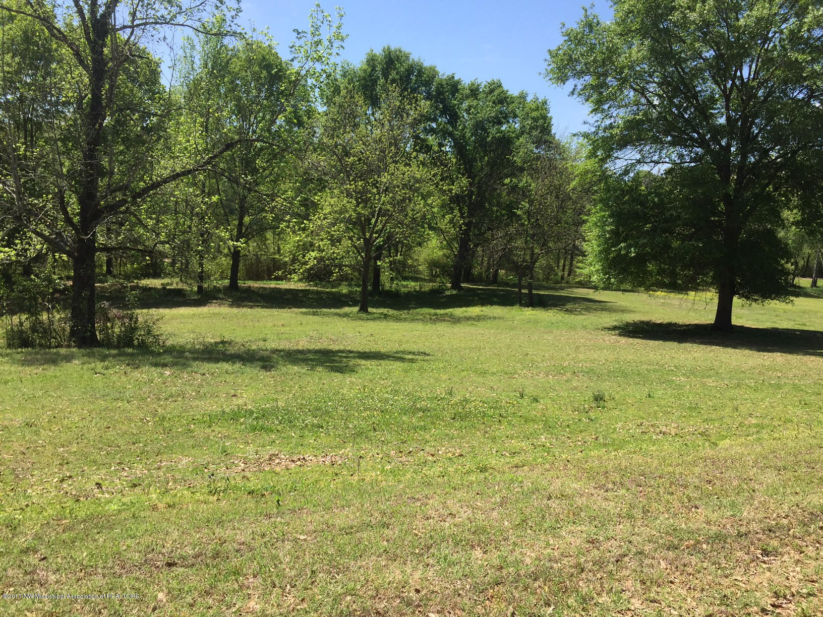 0 Love Road Hernando, MS 38632 - Photo 1 of 1 love rd land