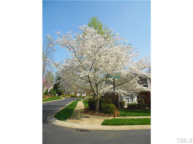 8730 Compass Lane Raleigh, NC 27615 - Photo 21 of 21 Springtime brought us this beautiful blooming cherry (?) tree outside the front door.
