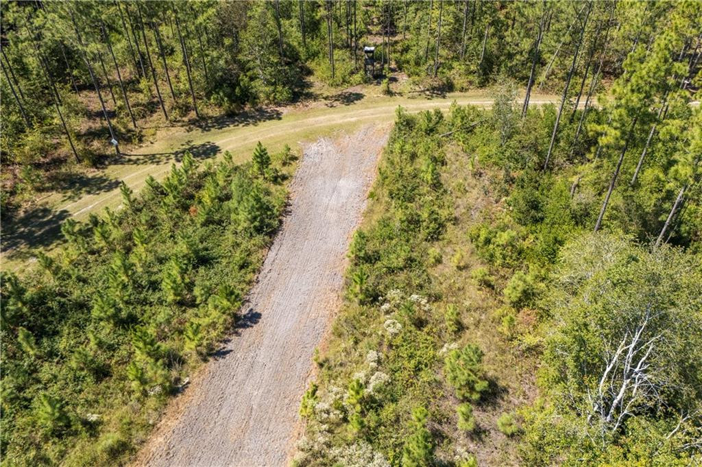 1603 Dl Durrence Road Reidsville, GA 30453 - Photo 27 of 31 Photo 27