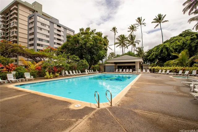 a view of a swimming pool with a lawn chairs and palm trees