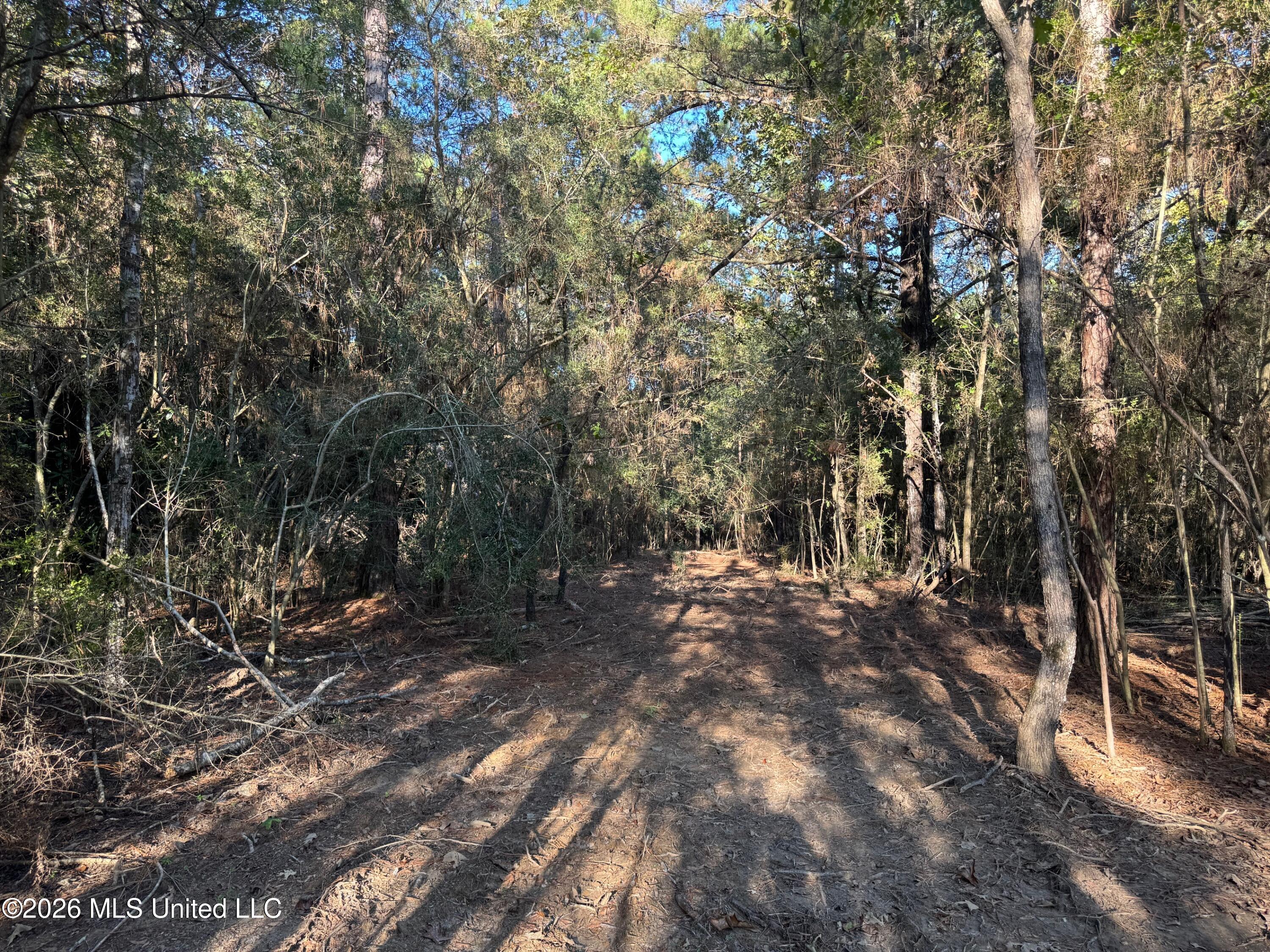 Xxx Emma Kelly Road Magnolia, MS 39652 - Photo 6 of 33 Emma Kelly 14