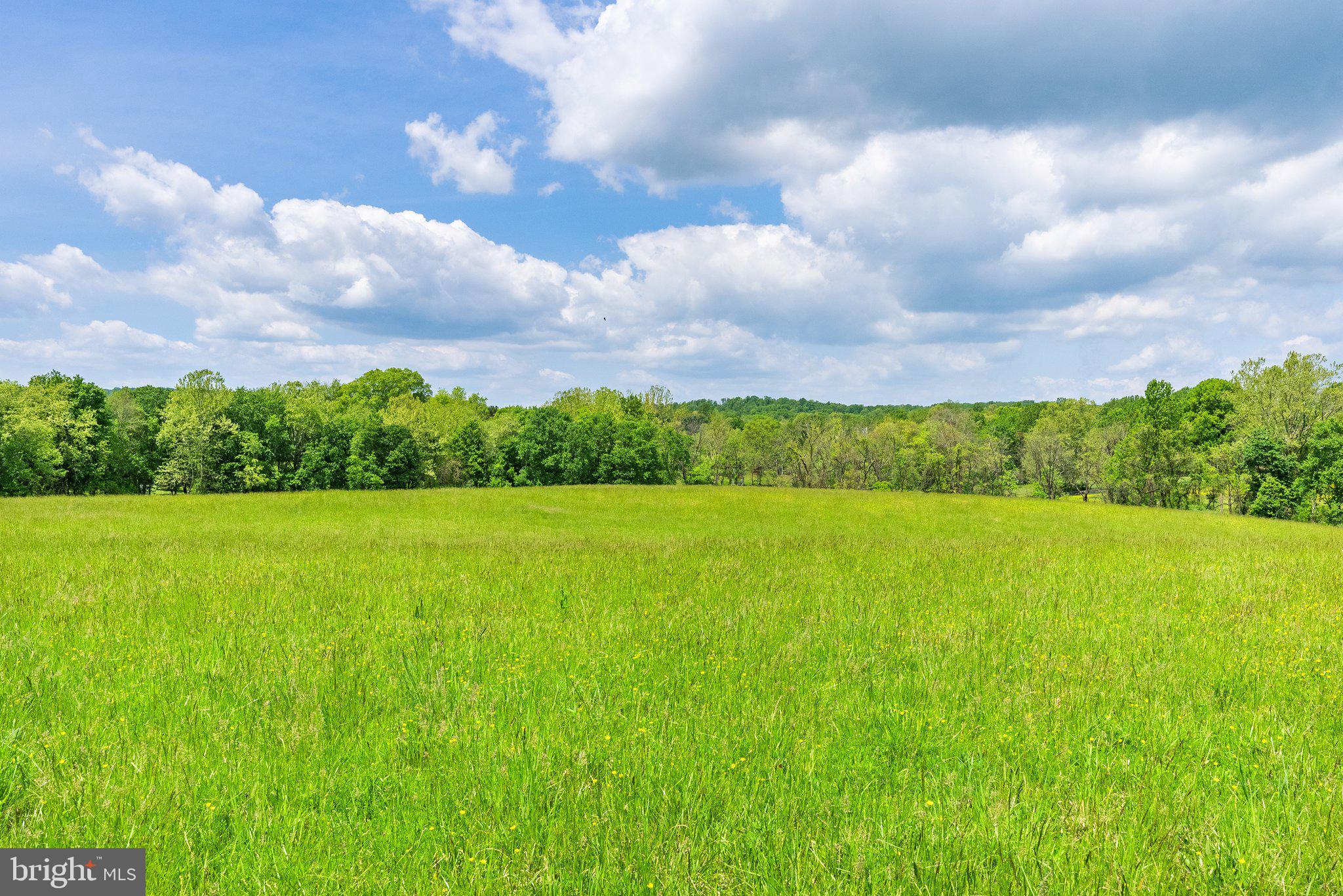 3694 Landmark Road The Plains, VA 20198 - Photo 65 of 102 Gallery Image 65