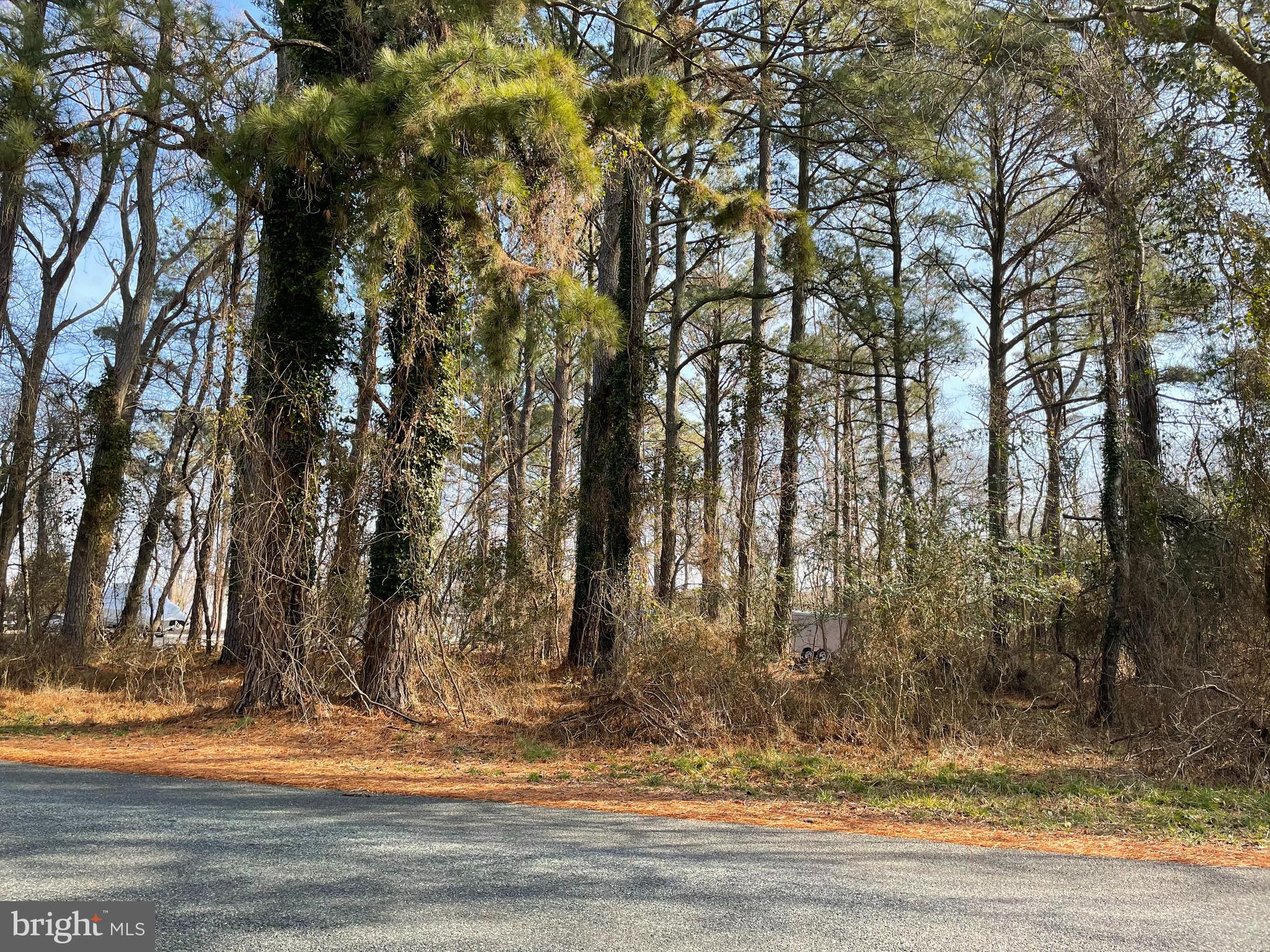100 Roland Parks Road Deal Island, MD 21821 - Photo 1 of 3