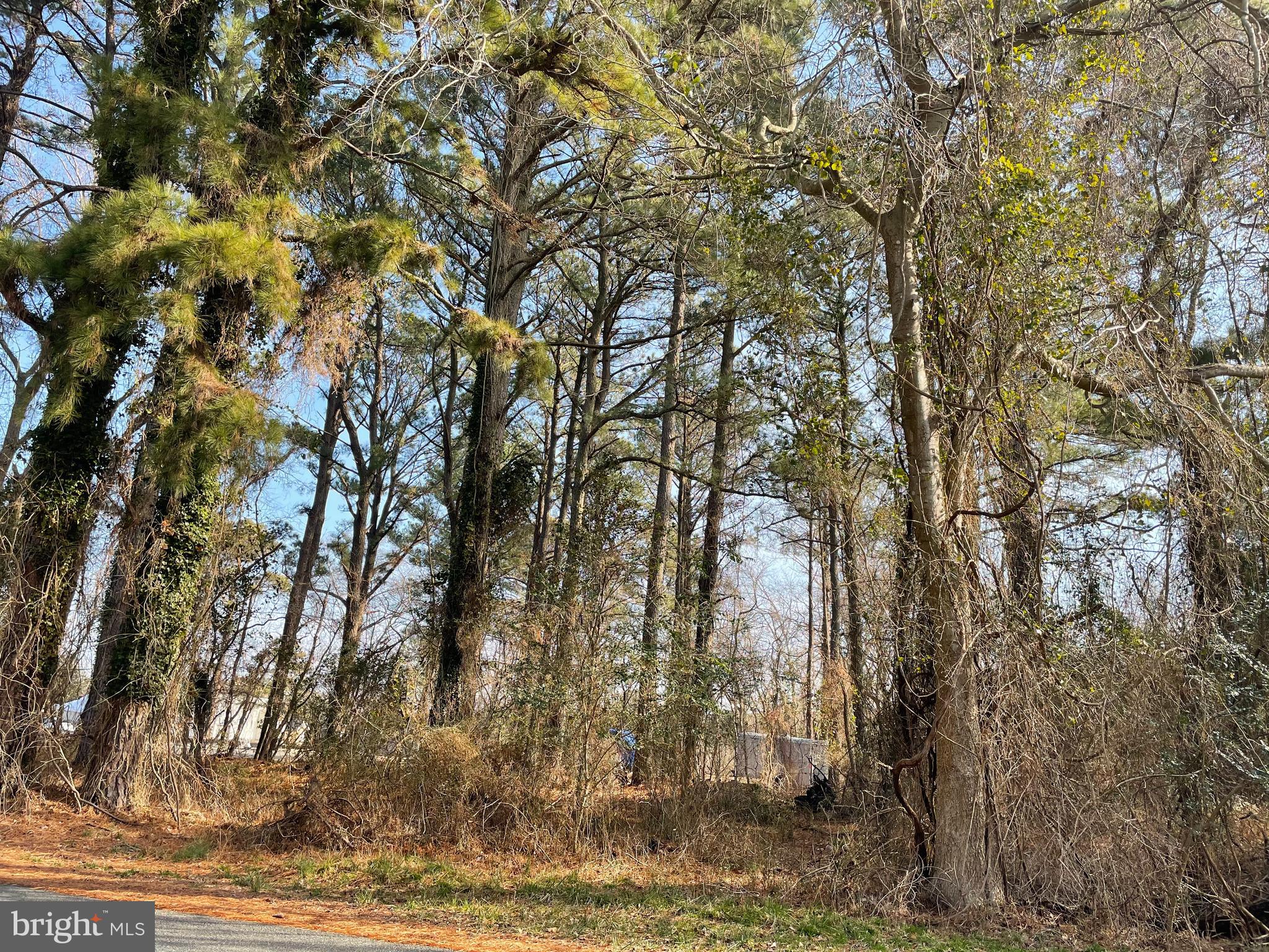 100 Roland Parks Road Deal Island, MD 21821 - Photo 2 of 3