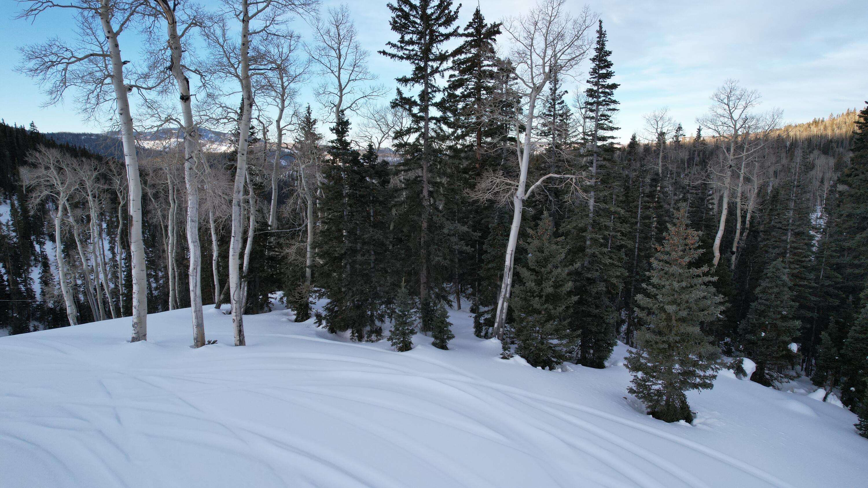 West Village Beaver, UT 84713 - Photo 21 of 27 DJI_0015