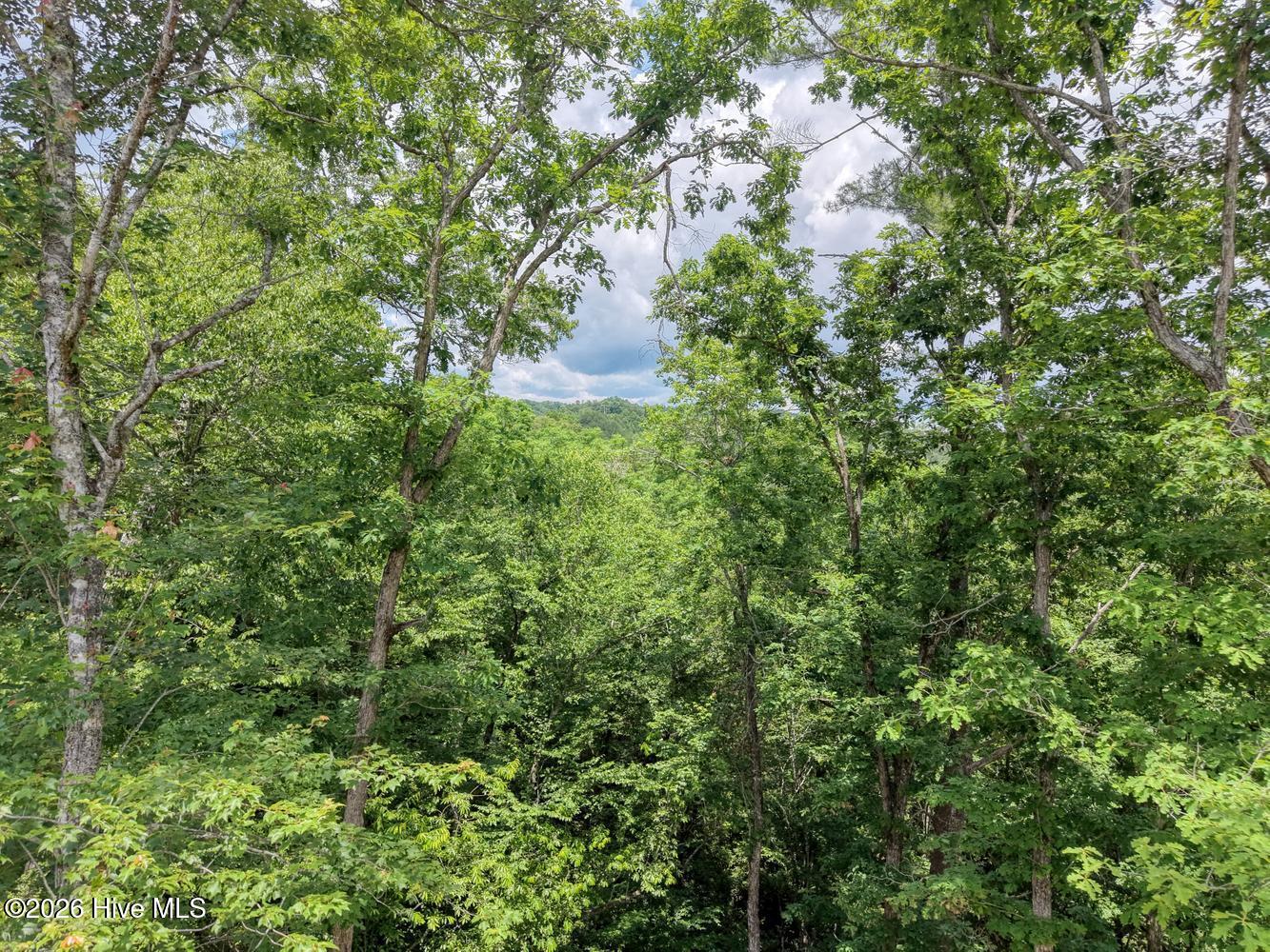 460 River Mountain Road Murphy, NC 28906 - Photo 40 of 72