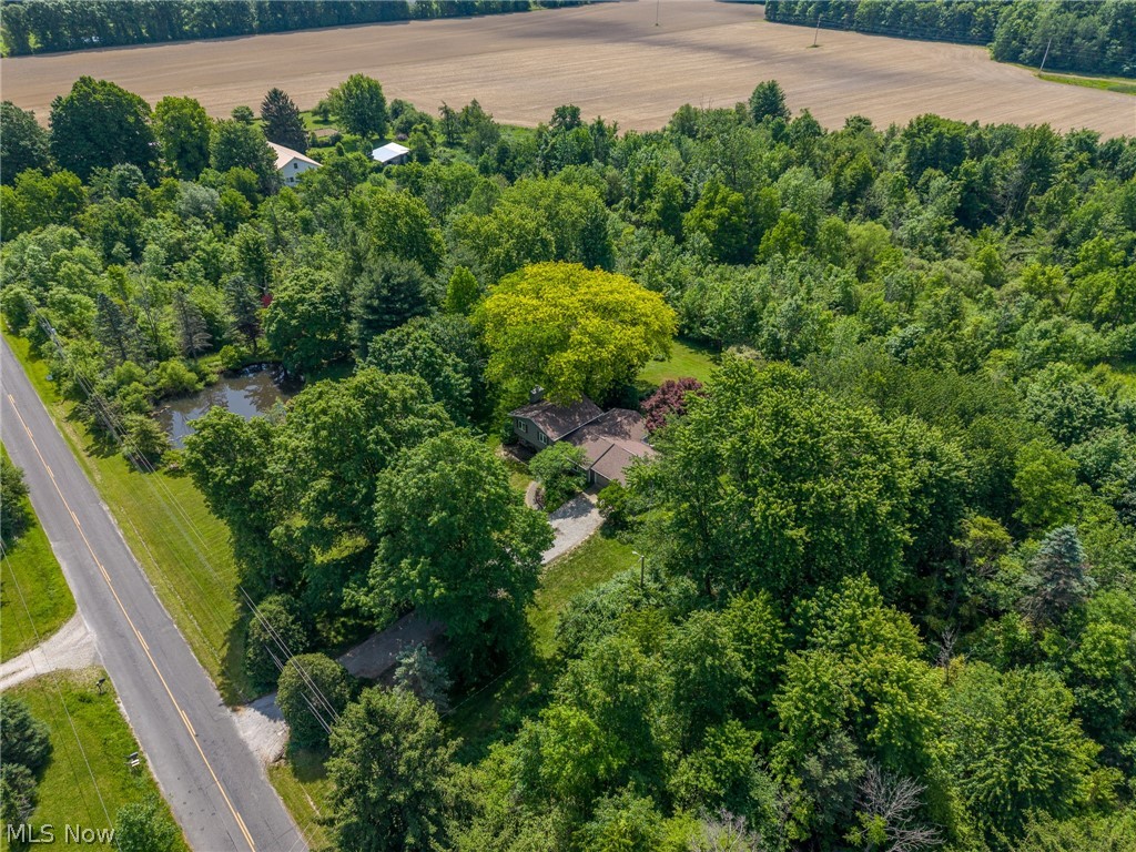 10614 Jones Road Litchfield, OH 44253 - Photo 41 of 50