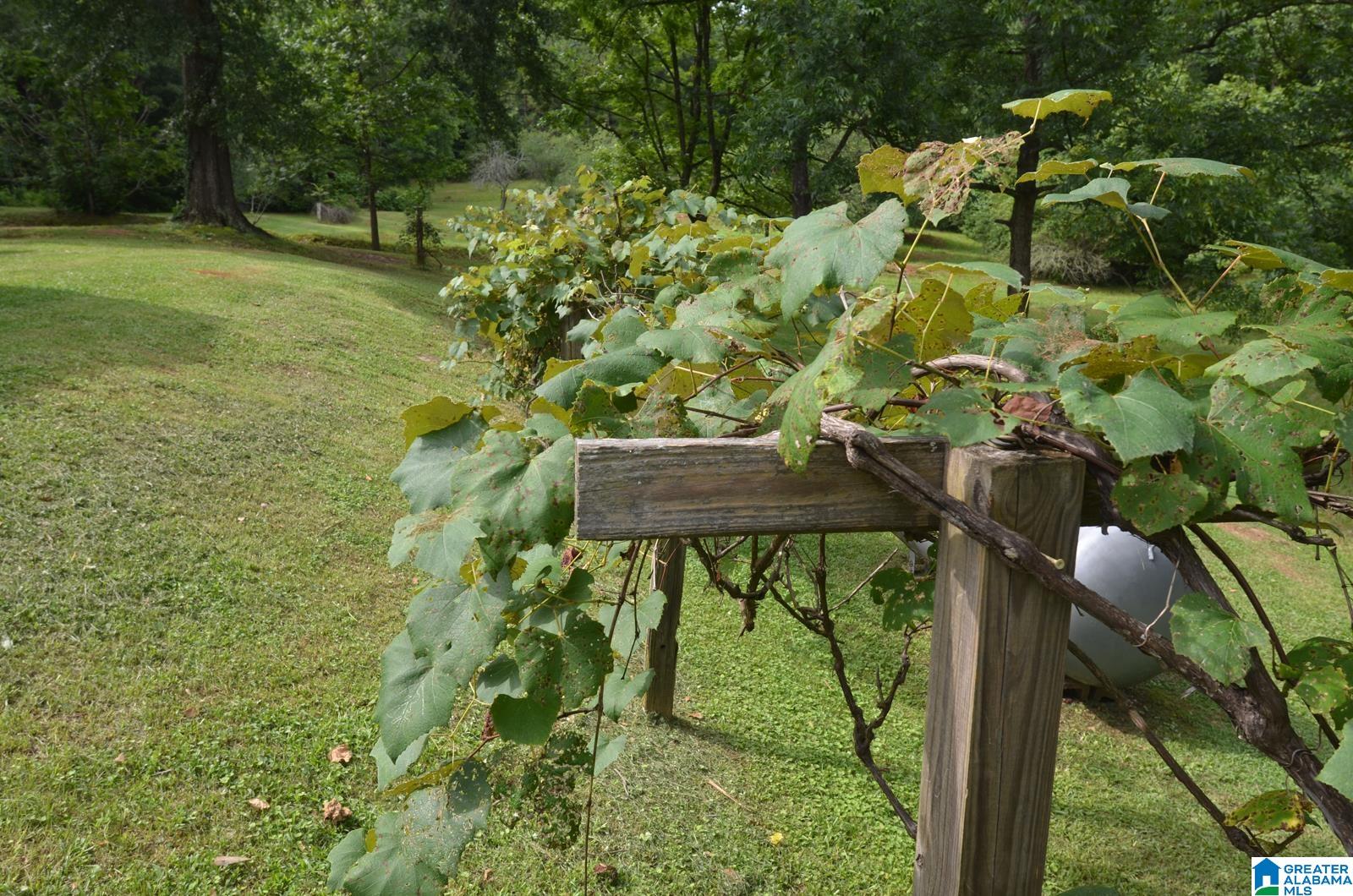 12691 Highway 46 Heflin, AL 36264 - Photo 29 of 63