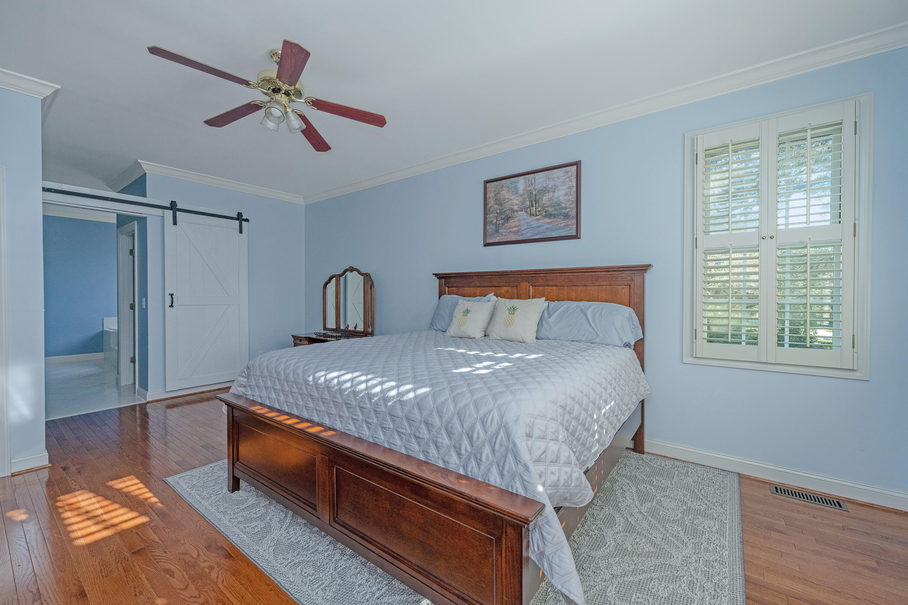 308 Jamesbury Road Charleston, SC 29492 - Photo 16 of 56 Owner's Suite