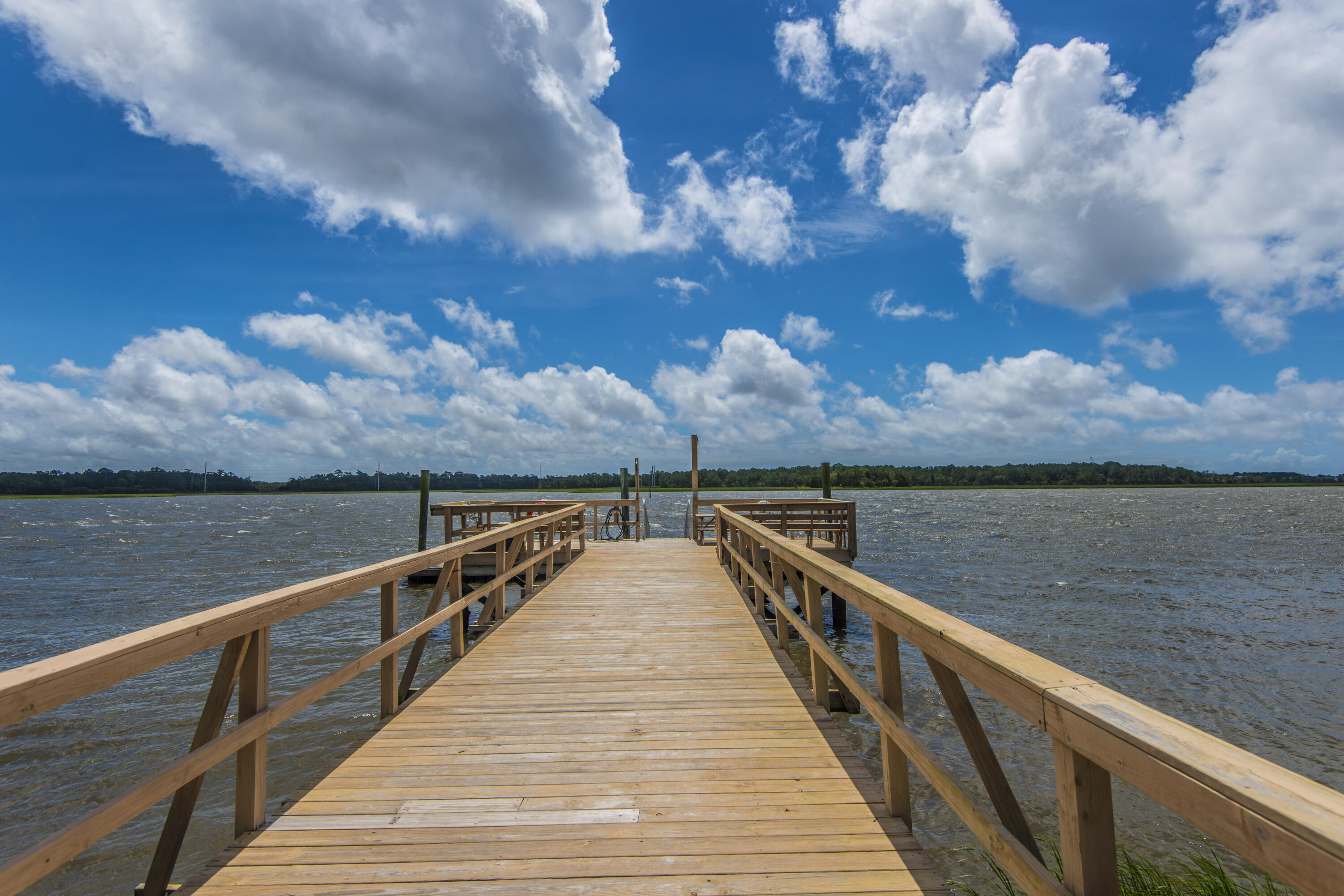 308 Jamesbury Road Charleston, SC 29492 - Photo 47 of 56 Community Dock