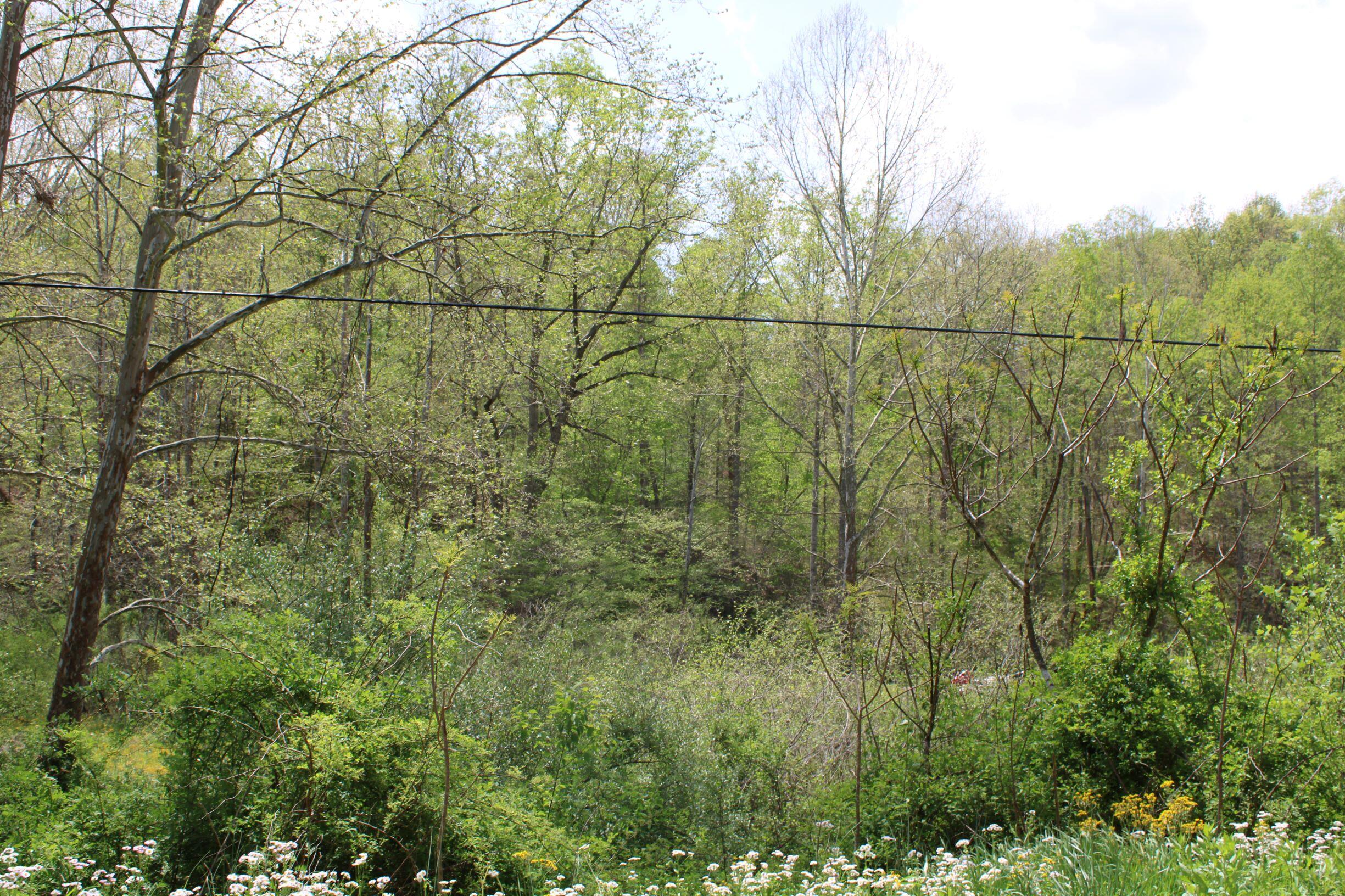 9999 Upper Rader Road Manchester, KY 40962 - Photo 18 of 37 IMG_0795