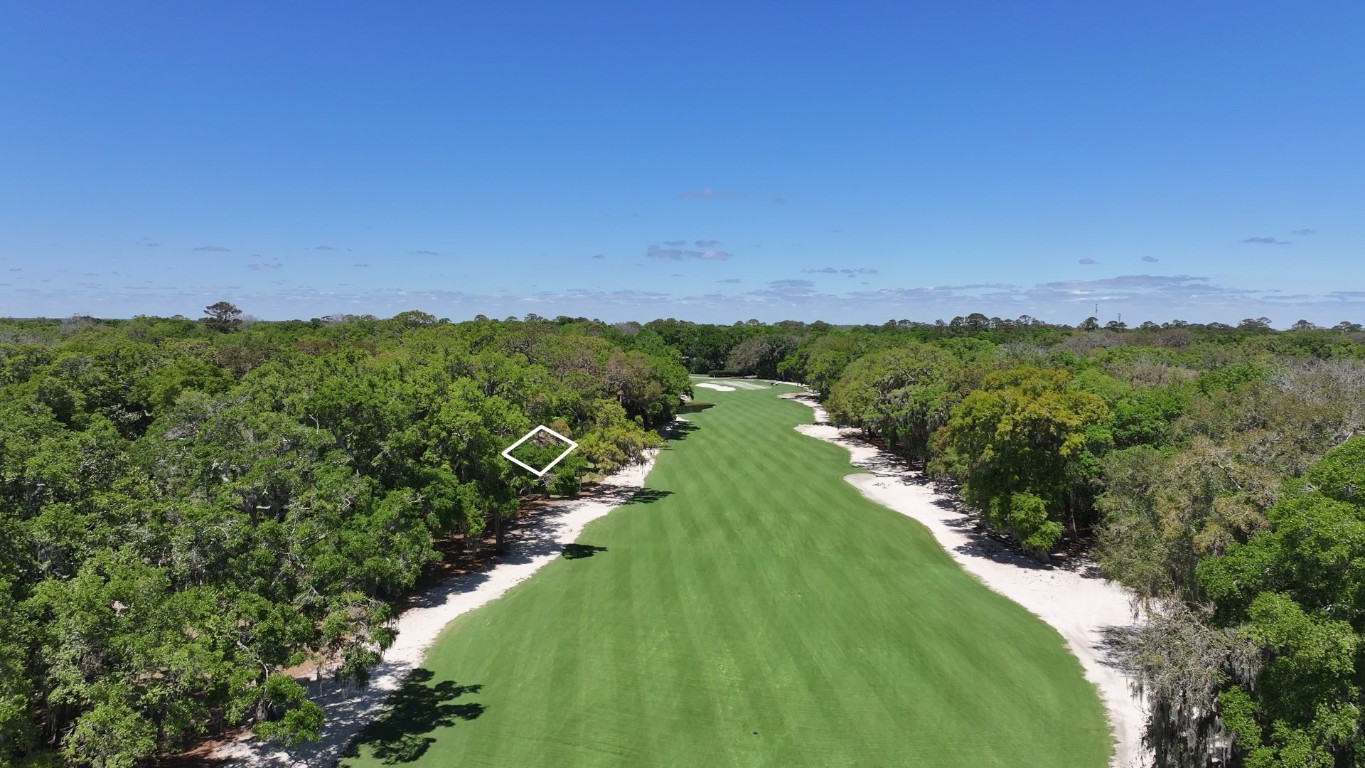 3314 Sea Marsh Road Fernandina Beach, FL 32034 - Photo 29 of 32 a view of a lush green field