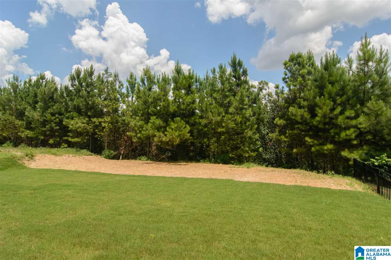 746 Rosebury Road Helena, AL 35080 - Photo 5 of 34