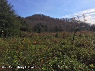 0 Green Tree Road Edmonton, KY 42129 - Photo 20 of 21 IMG_5696