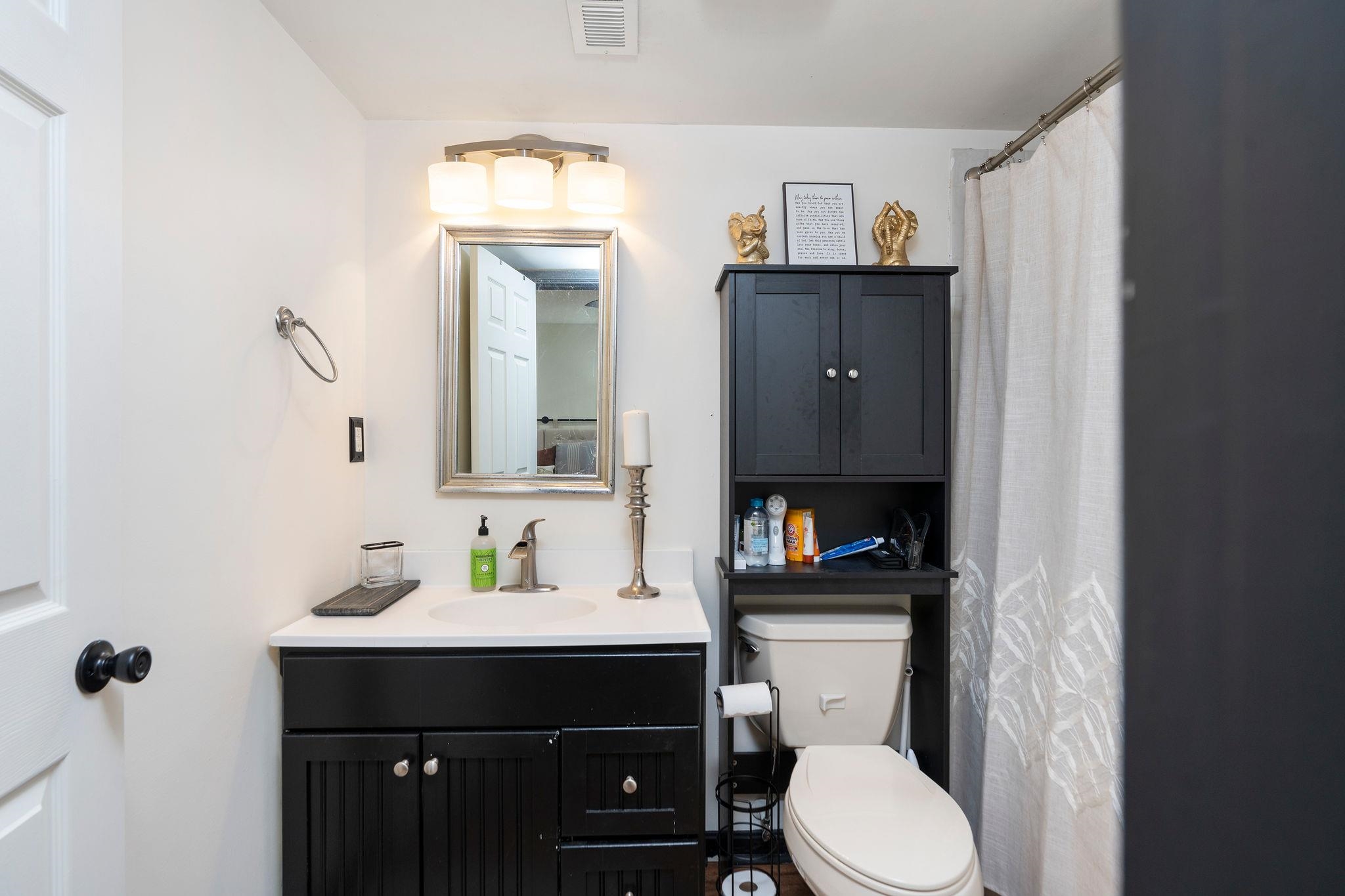 3739 Stony Point Road Charlottesville, VA 22911 - Photo 43 of 72 a bathroom with a toilet a sink and mirror