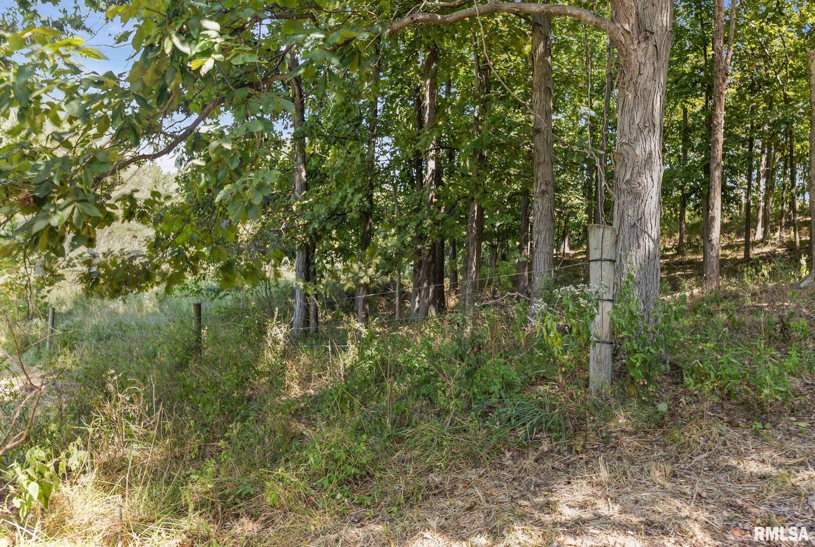 520 Deerfield Road Walnut Hill, IL 62893 - Photo 14 of 85