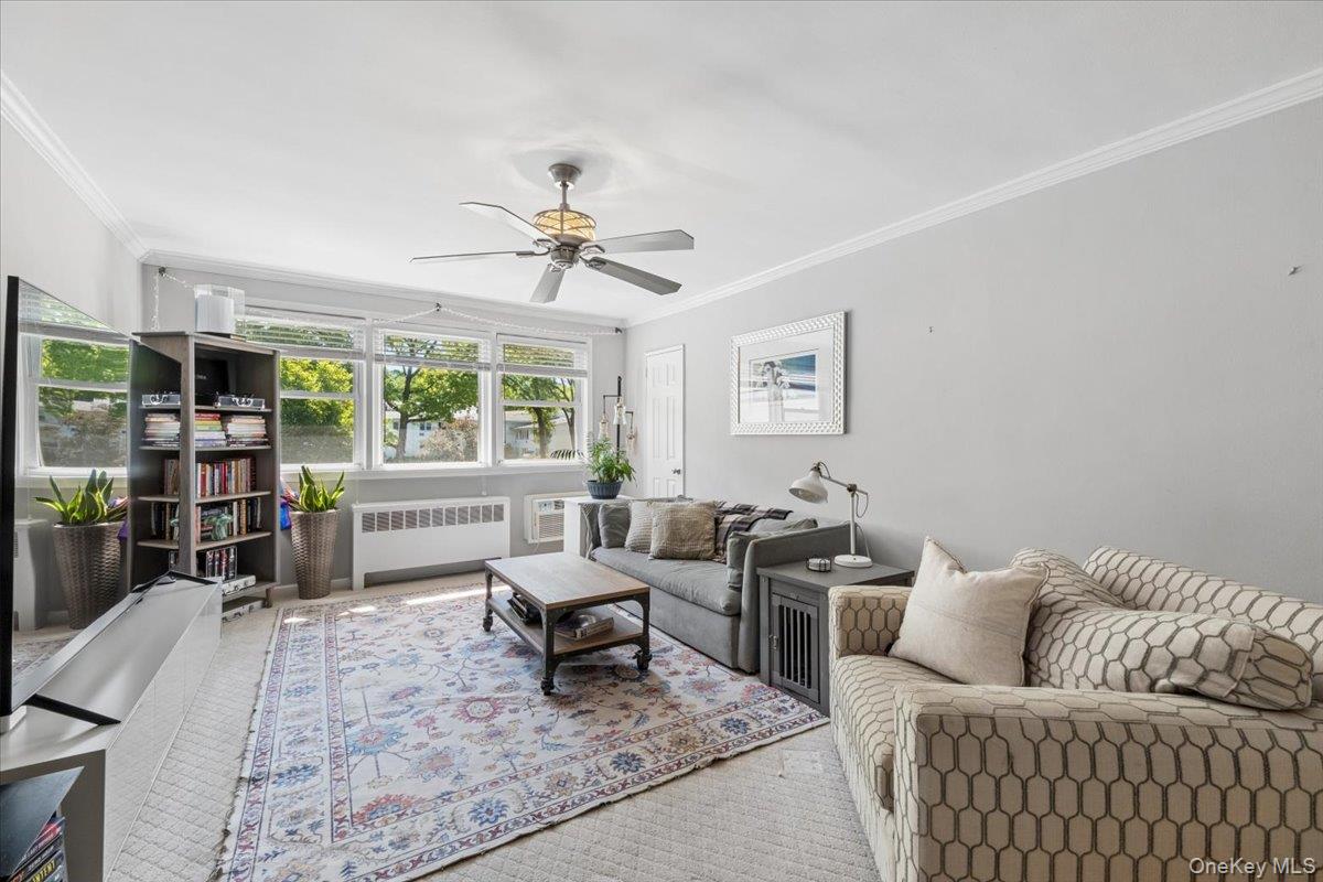51 Avon Circle, Unit D Rye Brook, NY 10573 - Photo 9 of 30 Living room has natural light from 3 windows