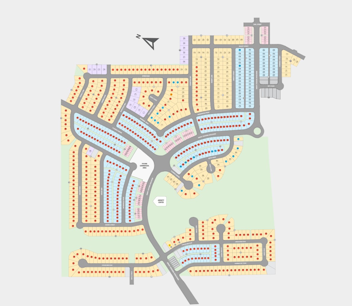 218 Betsy Road Hutto, TX 78634 - Photo 20 of 23 Emory Crossing Site Map