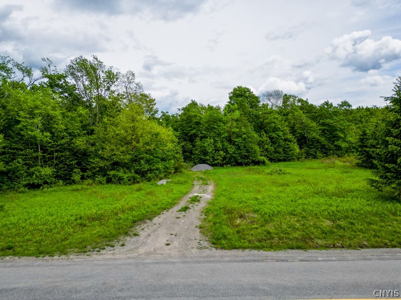 1180 Hawthorne Road Schuyler, NY 13416 - Photo 4 of 23