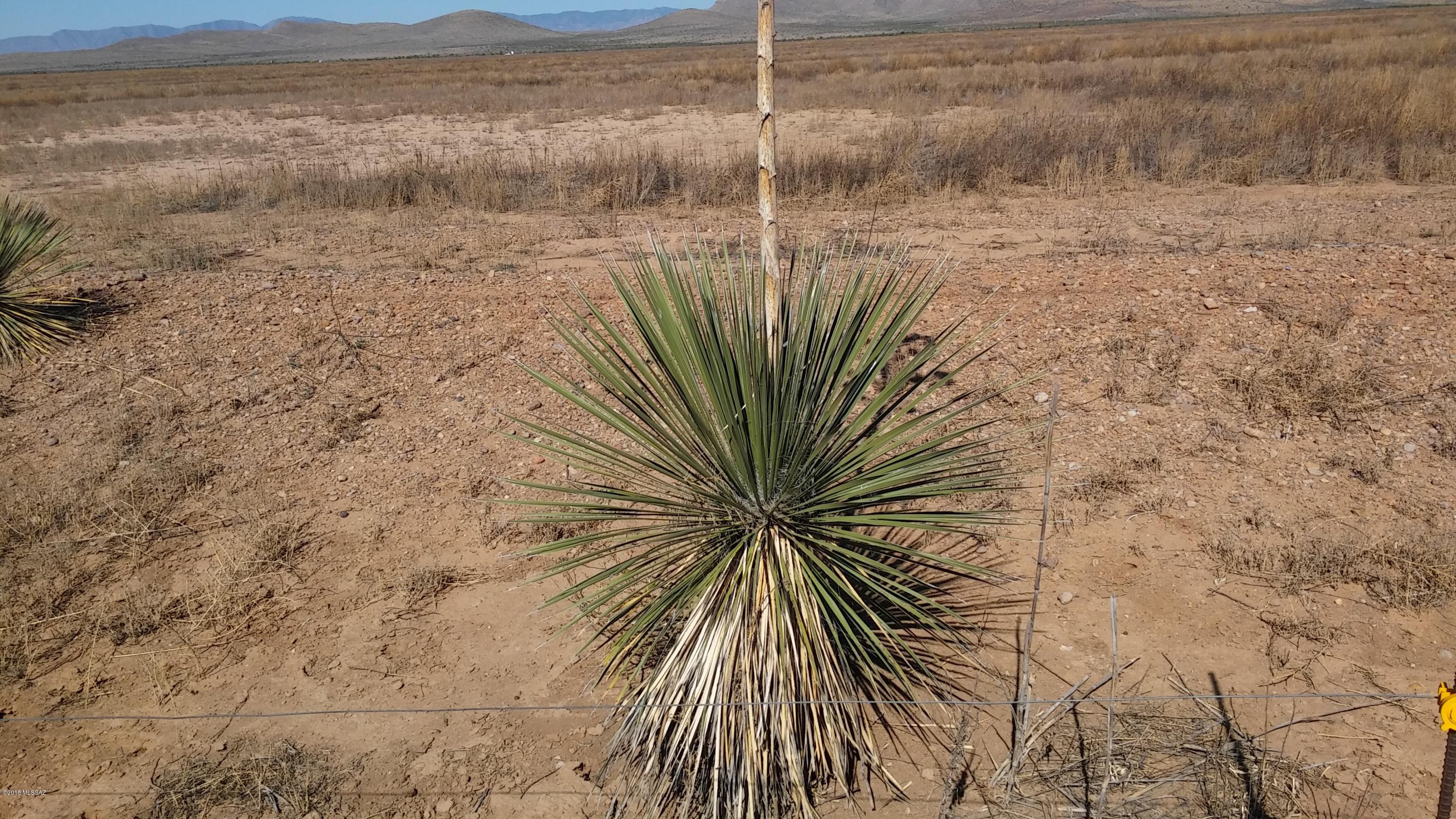 40-acres South Bell Ranch Road Willcox, AZ 85643 - Photo 5 of 12