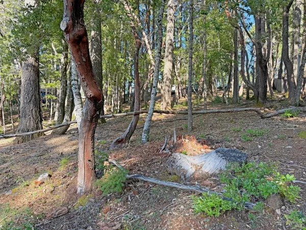 $7,900 | 28140 Poppy Drive, Willits, CA 95490