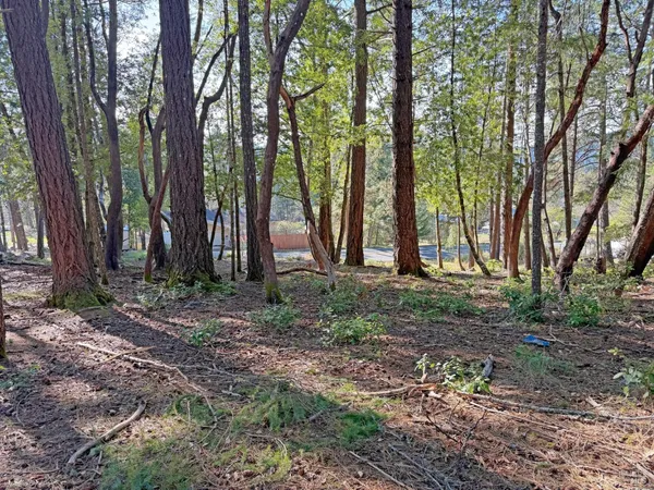 $7,900 | 28140 Poppy Drive, Willits, CA 95490