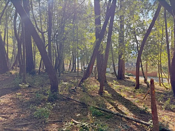 $7,900 | 28140 Poppy Drive, Willits, CA 95490