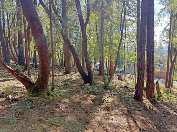 a backyard of a house with lots of trees