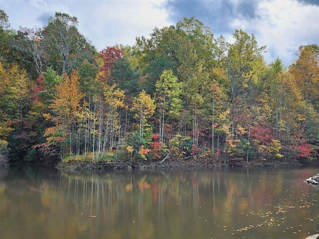 0 Glassy Ridge Road Landrum, SC 29356 - Photo 2 of 14 Gallery Image 2