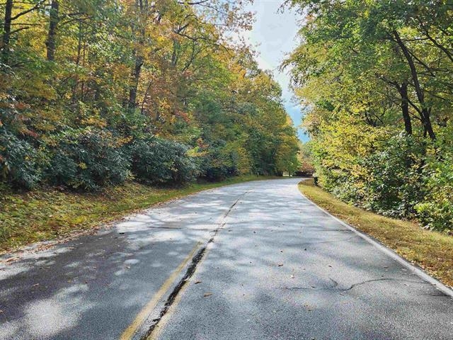 0 Glassy Ridge Road Landrum, SC 29356 - Photo 3 of 14 Gallery Image 3